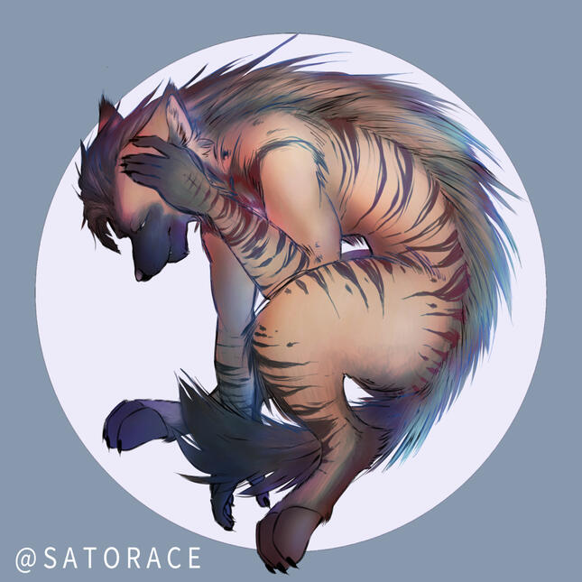 @Satorace